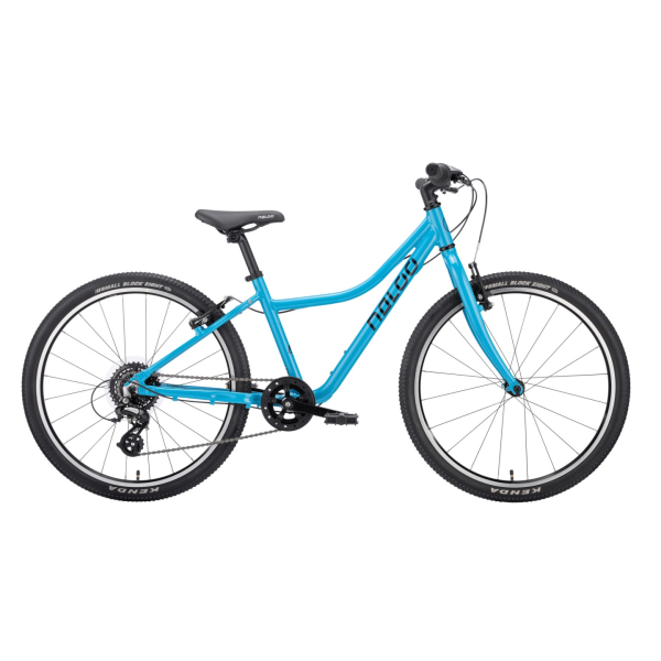 NALOO Chameleon 24", Mk2.1, 8-Speed