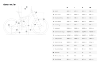 Amflow PX Carbon Gr.XL